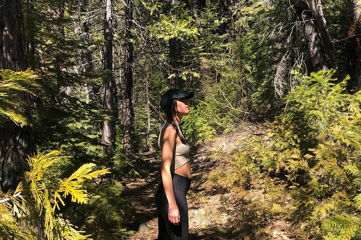 Forest Bathing in the Santa Cruz Redwoods — Guided Nisene Marks Experience photo 3