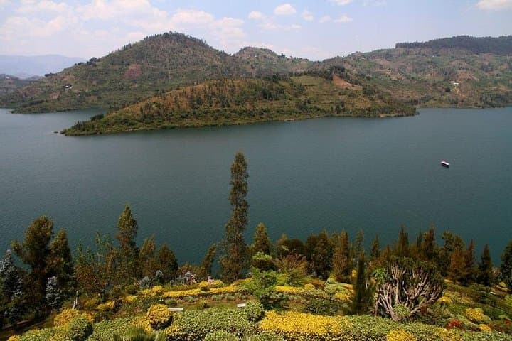 11-Day Uganda & Rwanda Gorilla Tracking Tour from Entebbe — Bwindi, Volcanoes & Nyungwe photo 4