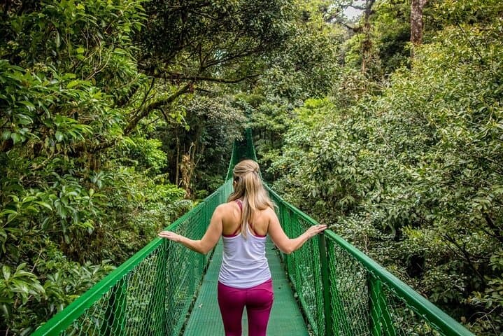 Monteverde Hanging Bridges & Zipline: One-Day Cloud Forest Adventure from San José photo 5