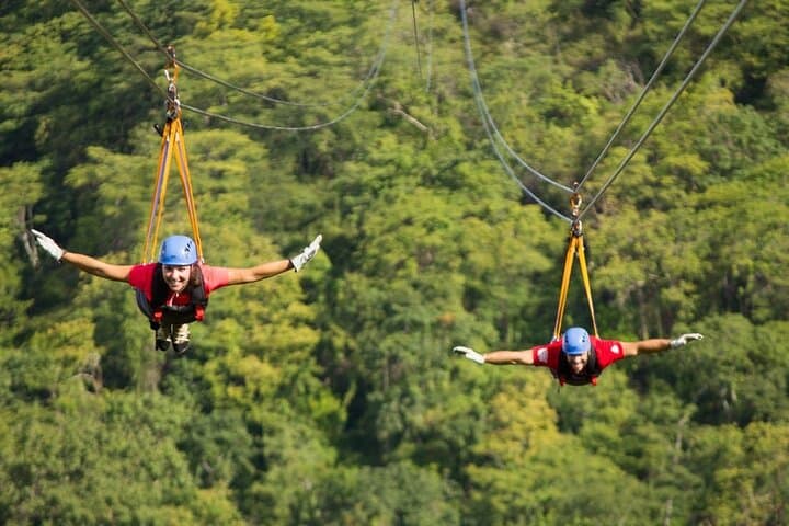Monteverde Hanging Bridges & Zipline: One-Day Cloud Forest Adventure from San José photo 4