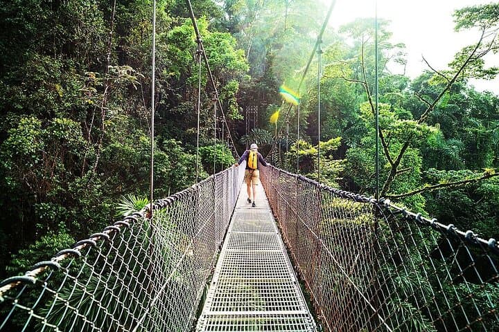 Monteverde Hanging Bridges & Zipline: One-Day Cloud Forest Adventure from San José