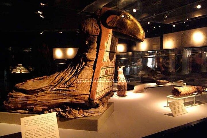 Half-Day Luxor Museum & Mummification Museum Tour — Explore Ancient Thebes photo 3