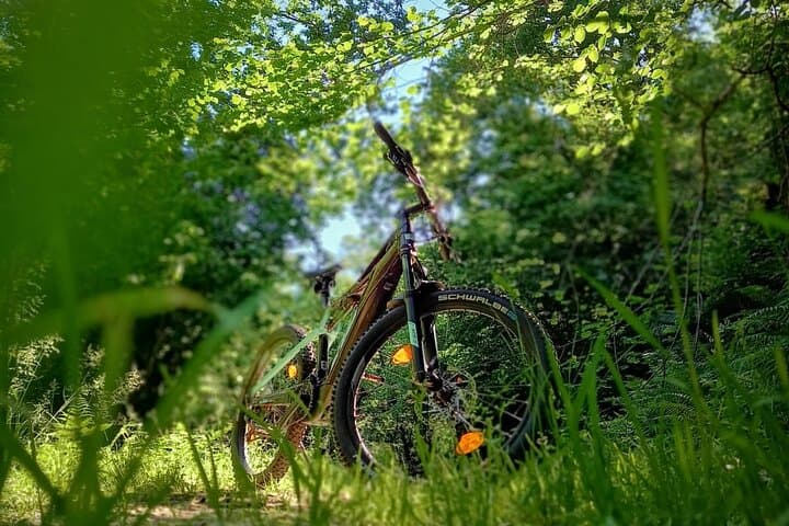 E‑MTB Adventures Around Maccagno: Ride Pino & Veddasca’s Rugged Trails photo 5