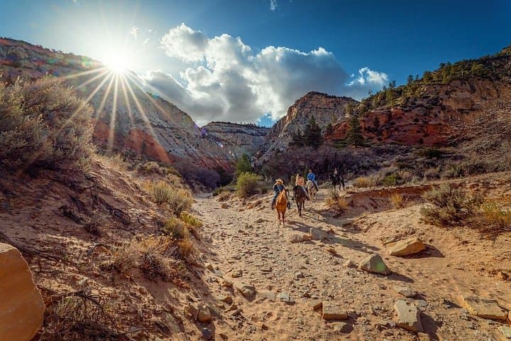 Horseback to White Mountain: East Zion Slot Canyon Ride photo 3