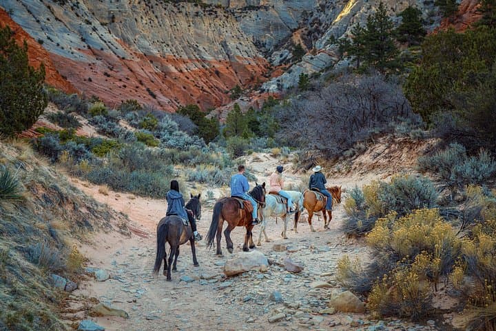 Horseback to White Mountain: East Zion Slot Canyon Ride photo 4