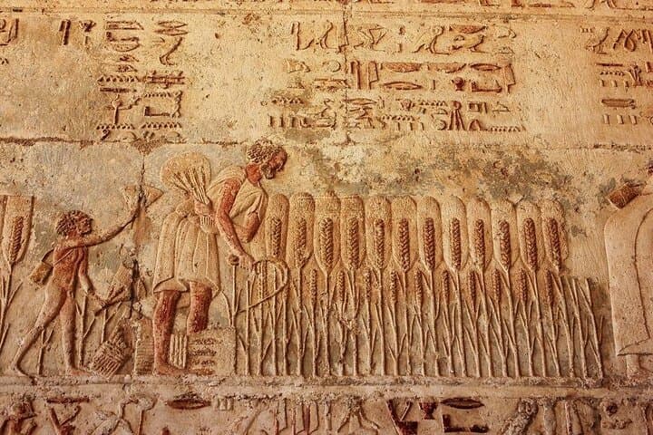 Full-Day El Minya Tour from Cairo — Tuna El-Gabal, Amarna & Beni Hassan photo 3