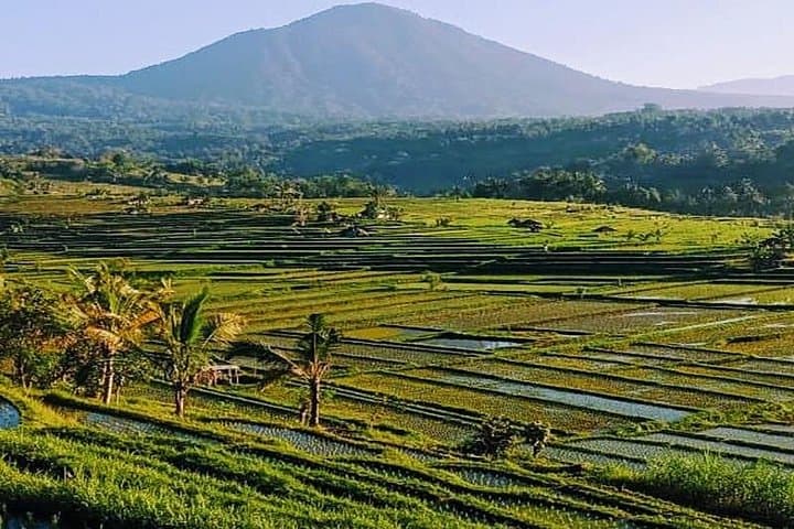 Full-Day Jatiluwih Rice Terraces, Ulun Danu Beratan & Tanah Lot—Bedugul Cultural Drive photo 1