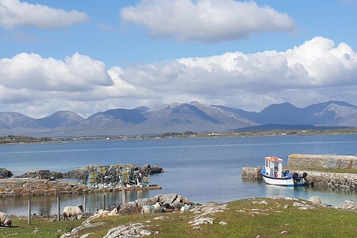 Private Landing on Inishlacken: Roundstone Deserted-Island Boat Tour