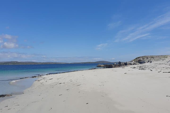 Private Landing on Inishlacken: Roundstone Deserted-Island Boat Tour photo 4