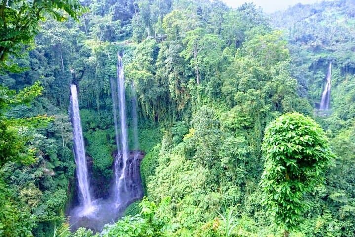 Sekumpul Waterfall to Ulun Danu Beratan: Full-Day Bedugul Private Tour