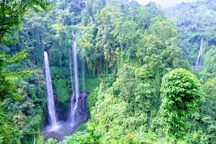 Sekumpul Waterfall, Wanagiri & Ulun Danu: Full-Day Private Bali Nature Tour photo 1