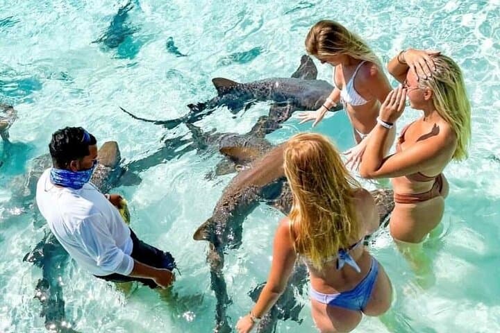 Exuma Full-Day Swimming Pigs & Nurse Sharks Boat Tour from Nassau photo 2