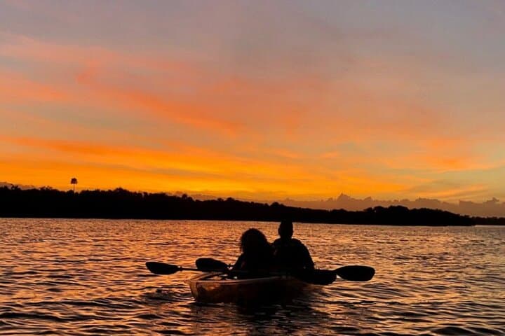 Night Kayak Through Florida's Bioluminescent Lagoon photo 4