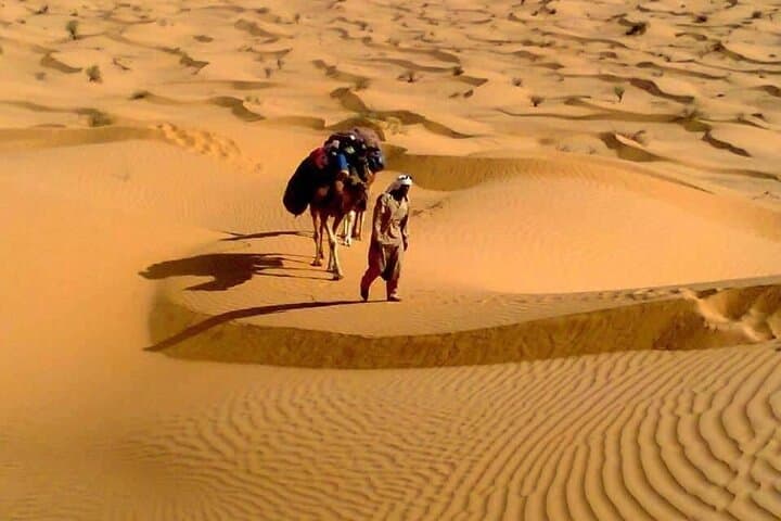 Camel Ride & Overnight at Chott Djerid: Desert Camp from Tozeur photo 5