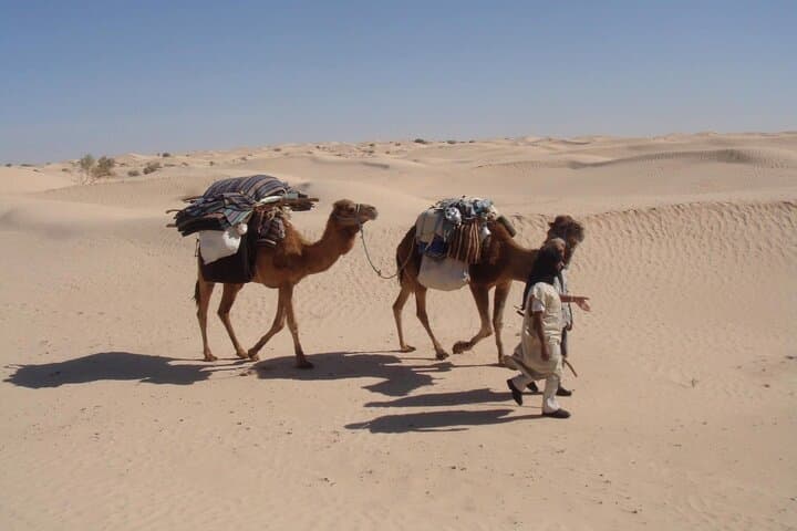 Camel Ride & Overnight at Chott Djerid: Desert Camp from Tozeur photo 6