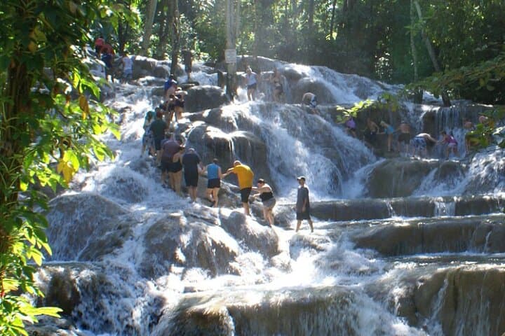 Blue Hole & Secret Falls Private Tour — Ocho Rios Waterfall Swim and Jungle Hike photo 2