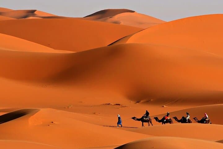 Desert Safari Dubai: Dune Bashing, BBQ Dinner & Live Shows photo 5