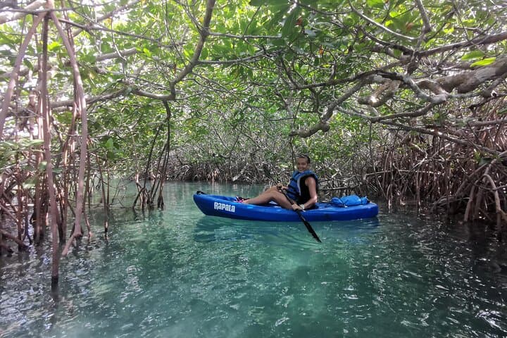 Kayak the Nichupté Lagoon: Guided Mangrove Tour in Cancún photo 6