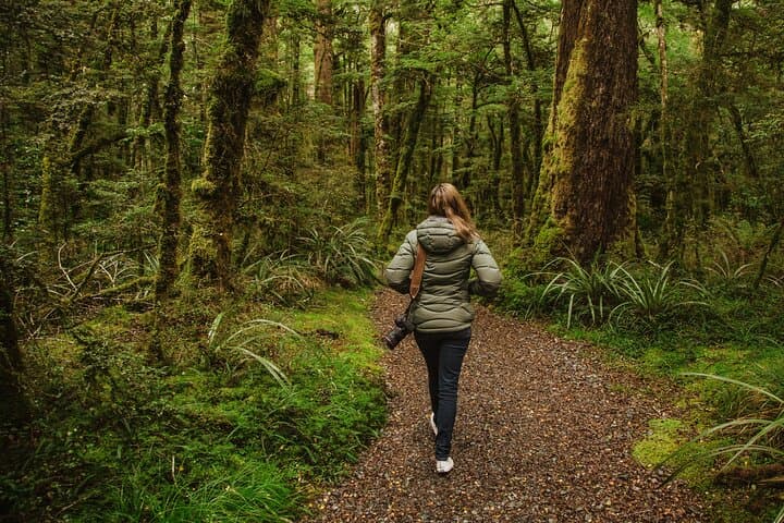 Private Milford Sound Day Tour from Te Anau — 2-Hour Cruise to Mitre Peak photo 4