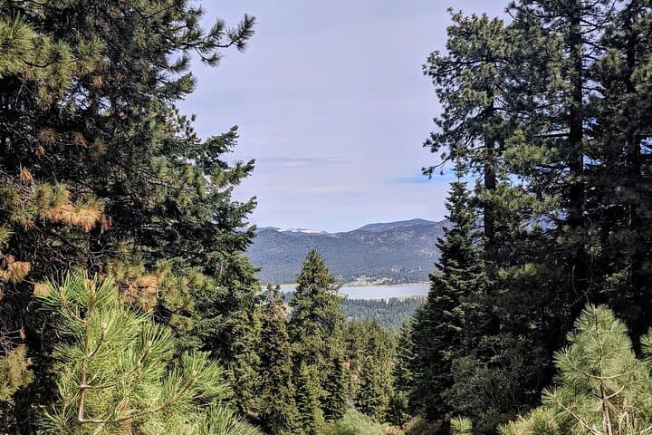 Big Bear Local's Hike and Dock Swim: 2-Mile Pine Trail to Big Bear Lake Harbor photo 4