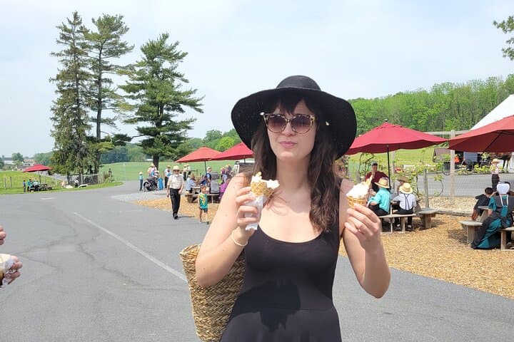 Authentic Lancaster & Amish Country Walking and Van Tour photo 2