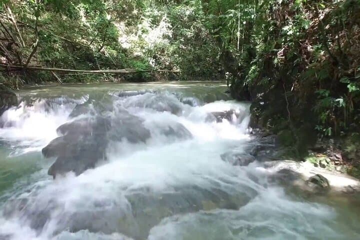 Mayfield Falls River Walk — Private Tour from Montego Bay photo 4