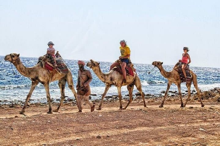Snorkel and Camel Ride to Dahab’s Blue Hole: Day Trip from Sharm El Sheikh