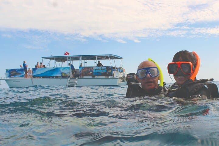 Key West Dolphin Watching & Snorkeling Adventure — Backcountry Reefs and Wild Dolphins photo 2