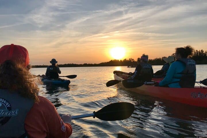 Comb Jelly Bioluminescence Kayak Tour on the Indian River Lagoon