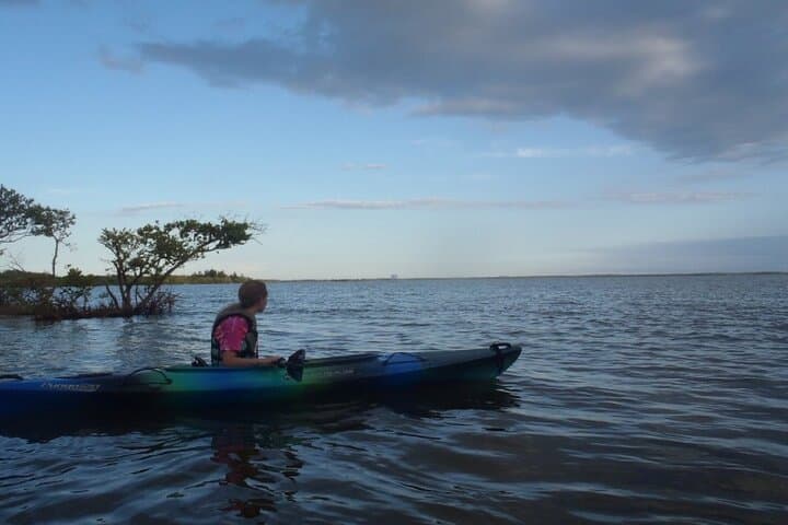 Comb Jelly Bioluminescence Kayak Tour on the Indian River Lagoon photo 4