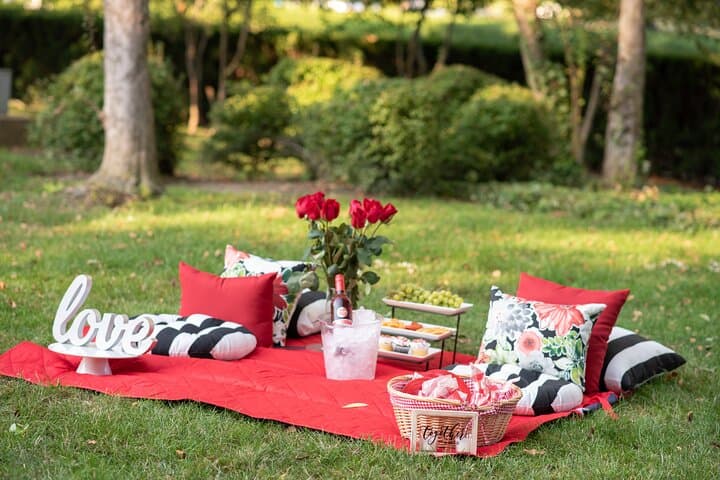 Private Picnic with Uptown Charlotte Views — First Ward Park Picnic Experience