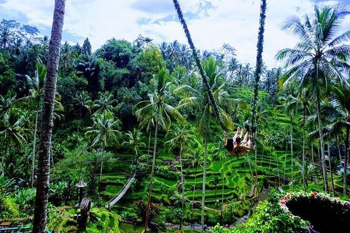 Bali Bird Park to Tegalalang: Private Ubud Day Tour photo 2