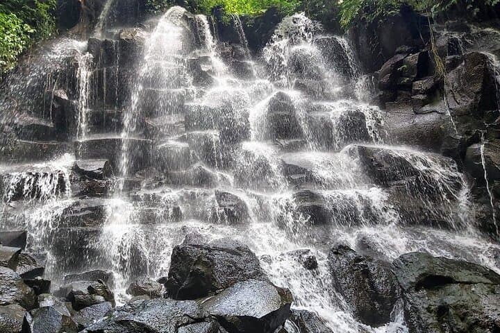 Ubud Waterfall, Tirta Empul & Tegalalang Rice Terrace: Private Full-Day Tour