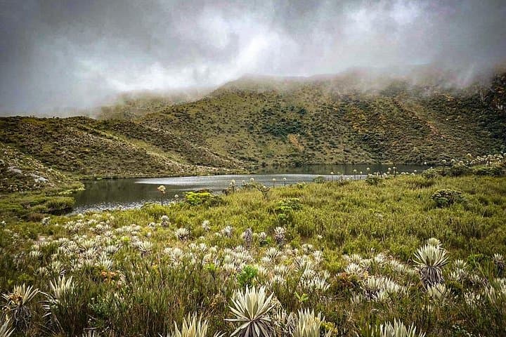 Hike Chingaza National Park: Private 8-Hour Moor & Laguna Tour from Bogotá photo 2