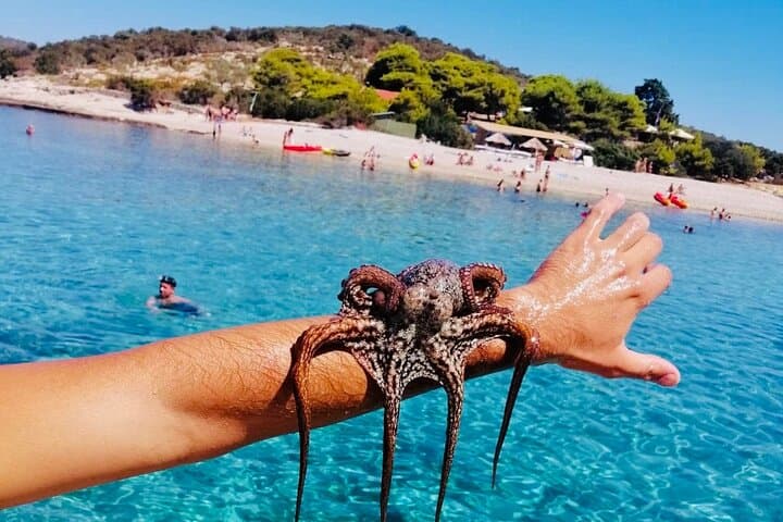 Private Blue Cave Boat Tour — Split, Brač, Trogir & Hvar Day Cruise photo 2