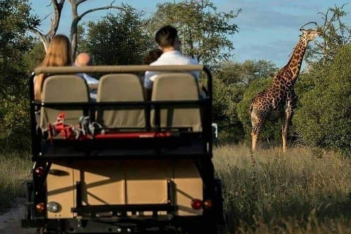 3-Day Private Budget Safari to Serengeti & Ngorongoro Crater — Camping Game-Drive Adventure