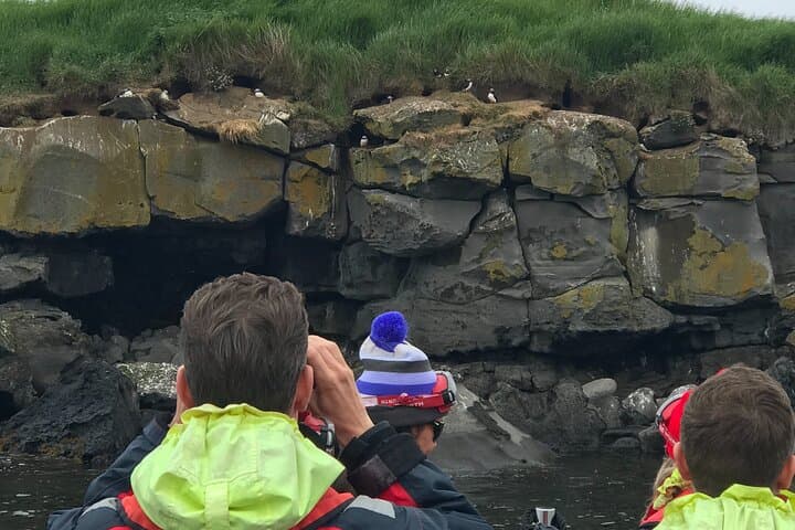 Puffin Speedboat Express: Fast RIB Puffin Tours from Reykjavík photo 5
