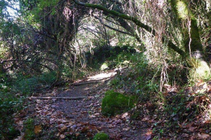 Kydoni Gorge Half-Day Walk: Karanos to Meskla Hiking Adventure photo 5