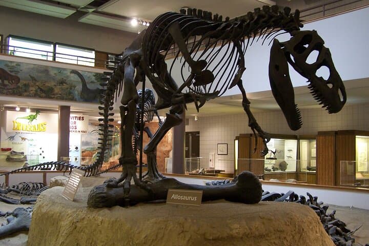 Mighty 5 Utah National Parks in 5 Days: Small-Group Adventure from Salt Lake City photo 4