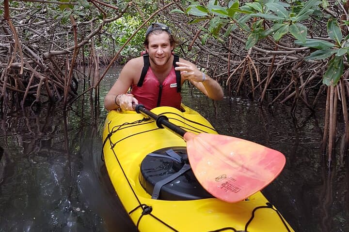 Kayak Safari in Bahía de La Paz — 2-Hour Wildlife Paddle from the Malecón photo 3