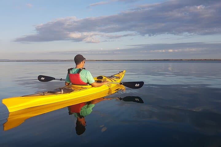 Kayak Safari in Bahía de La Paz — 2-Hour Wildlife Paddle from the Malecón photo 6