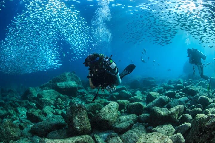 Two-Tank Dive in Cabo San Lucas: Explore The Corridor Marine Park photo 5