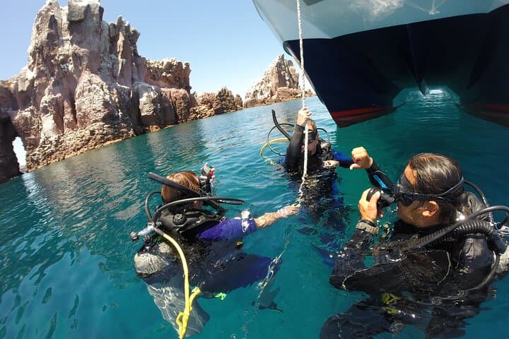 Beginner Scuba Dive in Cabo San Lucas Bay: Sea of Cortez Intro Dive photo 4