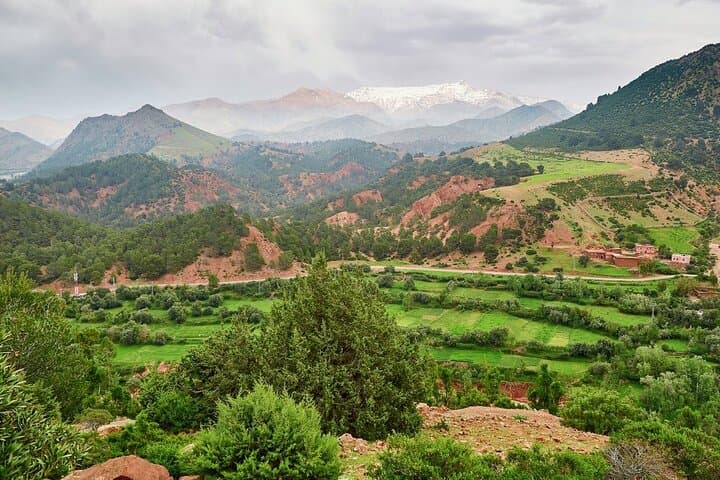 Atlas Mountains Day Trip: Three Valleys, Waterfalls & Berber Village from Marrakech photo 4