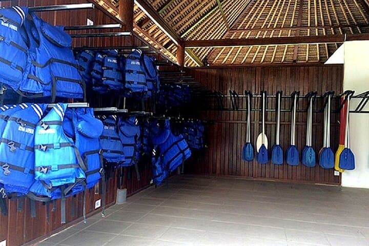 Half-Day Ayung River Rafting from Ubud: 12 km Whitewater Adventure photo 4