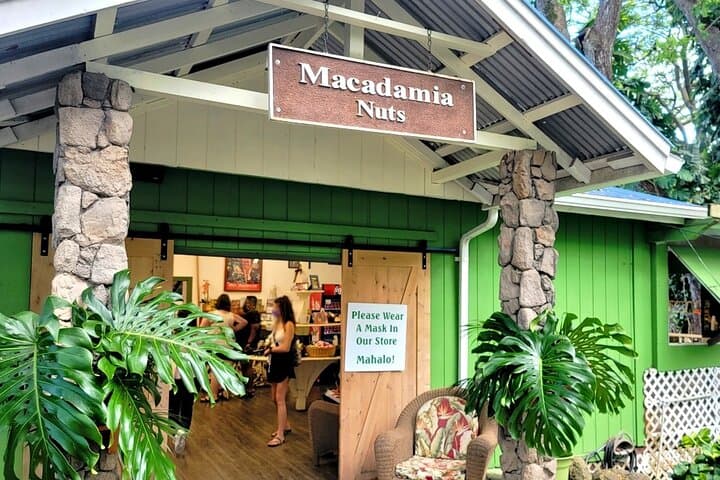 Discover Oahu's Iconic Circle Island Tour photo 4