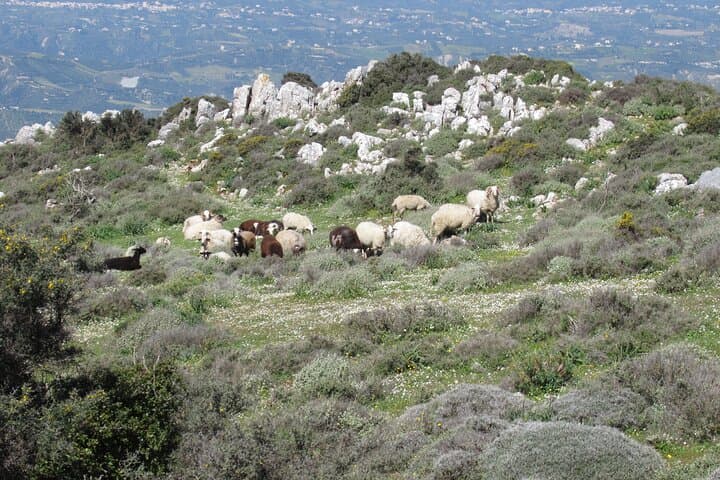 Giouhtas Mount Trekking: Easy Heraklion Hike to Panoramic Views photo 4