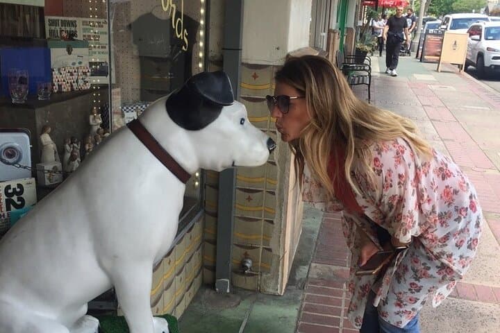 Explore Downtown Ann Arbor: 2-Hour Scavenger Hunt with Wacky Walks photo 4