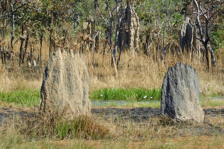 Litchfield Park & Jumping Crocodile Cruise — Day Trip from Darwin photo 3