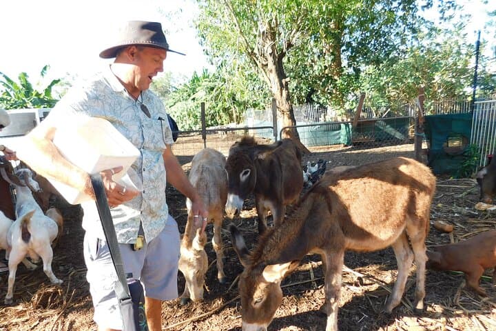 Litchfield Park & Jumping Crocodile Cruise — Day Trip from Darwin photo 4